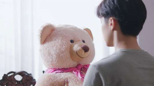 The Miracle of Teddy Bear - Backdrops