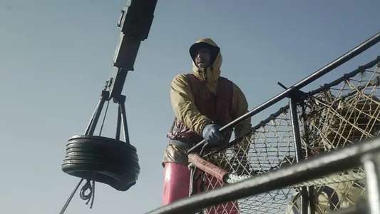 Deadliest Catch - Backdrops