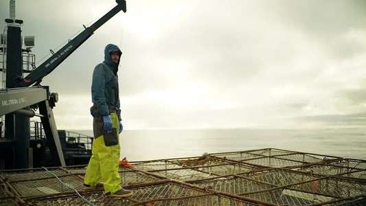 Deadliest Catch - Backdrops