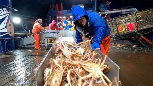Deadliest Catch - Backdrops