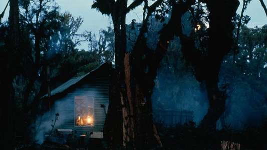 Dian Fossey: Secrets in the Mist - Backdrops