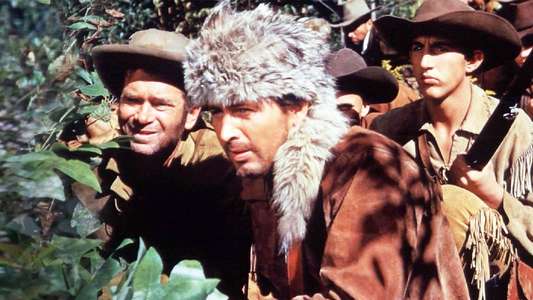 Davy Crockett  King of the Wild Frontier - Backdrop