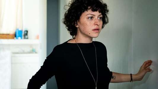 Search Party - Backdrops