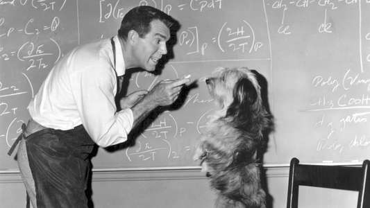 The Absent-Minded Professor - Backdrop