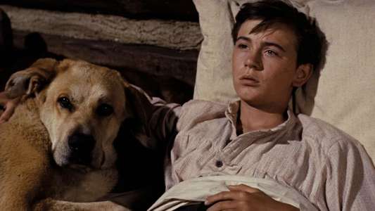 Old Yeller - Backdrops