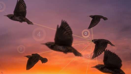 Life in the Air - Backdrop