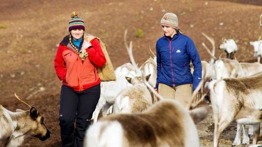 Highlands: Scotland's Wild Heart - Backdrop