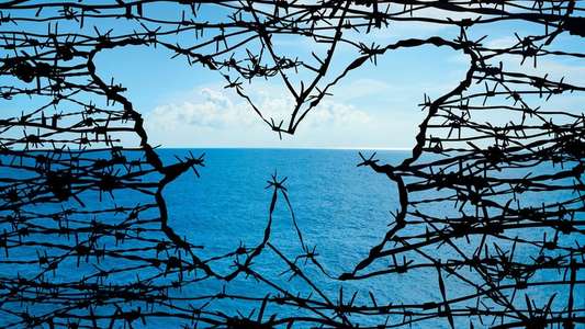 Papillon - Backdrop