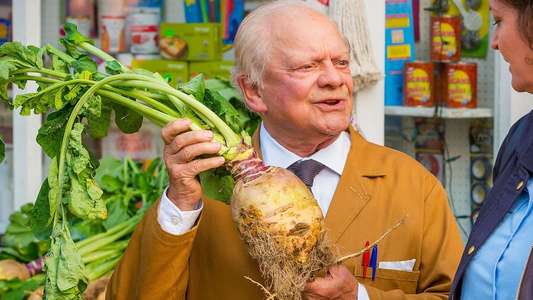 Still Open All Hours - Backdrops