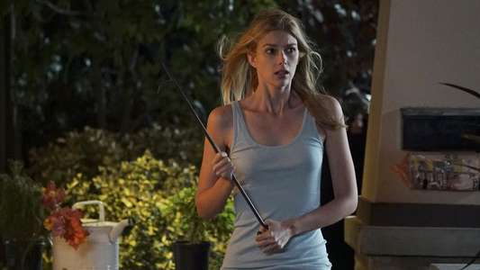 Stitchers - Backdrops