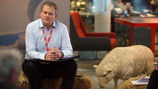 W1A - Backdrops