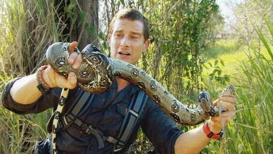The Island with Bear Grylls - Backdrop