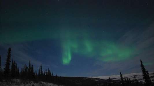 Wild Planet: North America - Backdrops