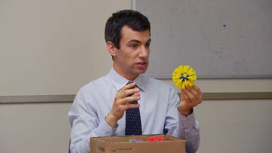 Nathan For You - Backdrops