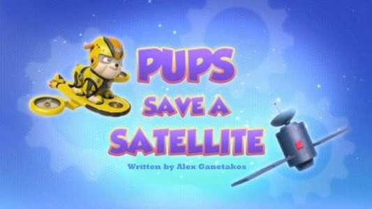 Paw Patrol - Backdrops