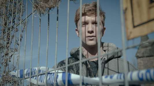 In the Flesh - Backdrops