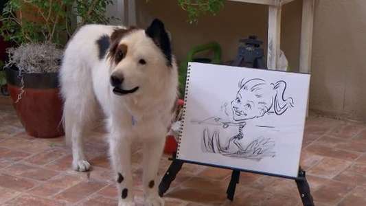 Dog With a Blog - Backdrops