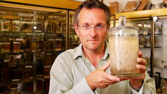 The Brain: A Secret History - Backdrop