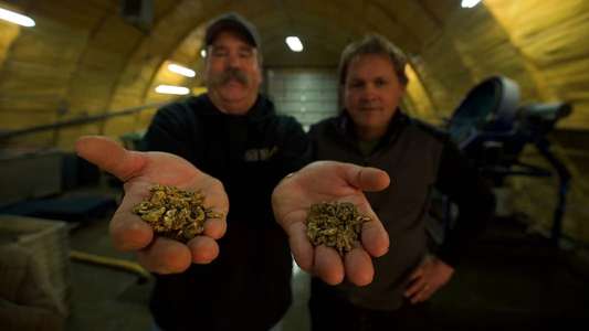 Bering Sea Gold - Backdrops