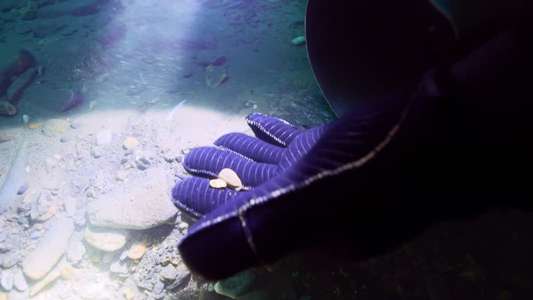 Bering Sea Gold - Backdrops