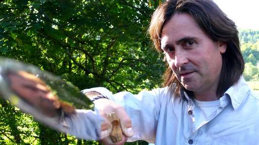 A History of Ancient Britain - Backdrop