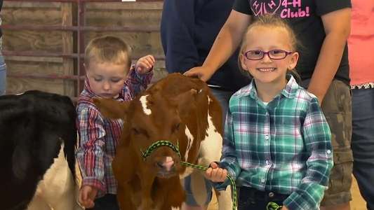 The Incredible Dr. Pol - Backdrops