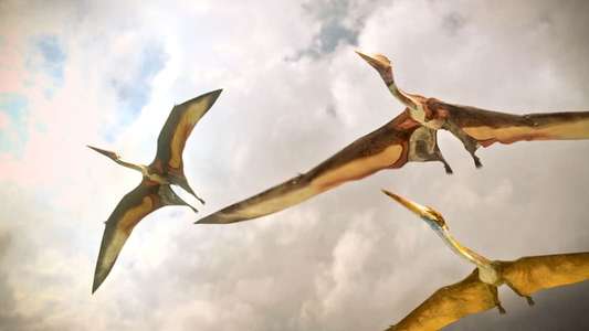 Planet Dinosaur - Backdrops