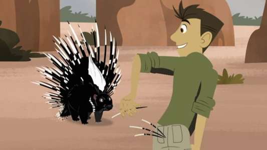 Wild Kratts - Backdrops