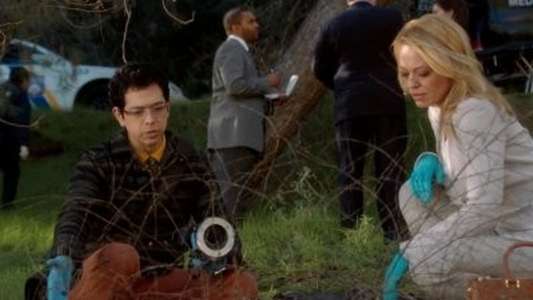 Body of Proof - Backdrops