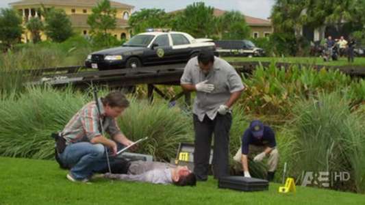 The Glades - Backdrops