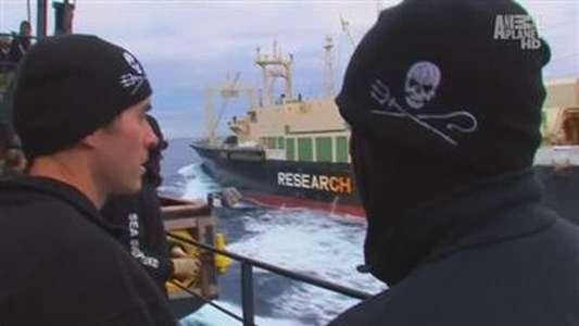 Whale Wars - Backdrop