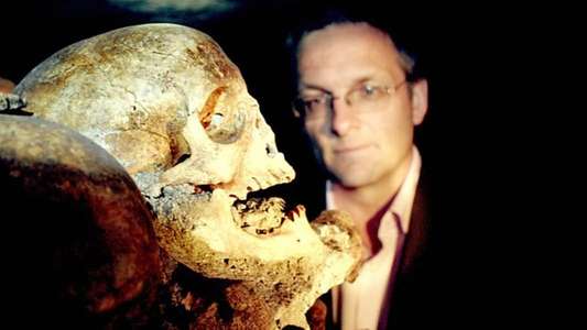 Blood and Guts: A History of Surgery - Backdrop