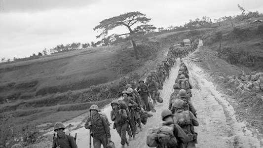 The War - Backdrops