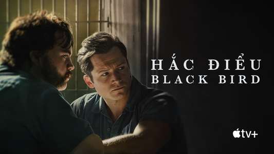 Black Bird - Backdrops