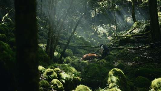 Alice in Borderland - Backdrops