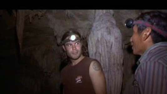 Wildboyz - Backdrops