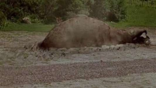 Tremors - Backdrops