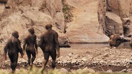 Primeval - Backdrops