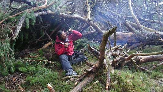 Man vs. Wild - Backdrops