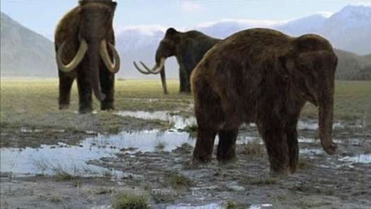Walking with Beasts - Backdrop