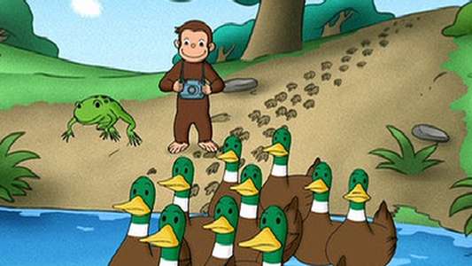Curious George - Backdrops