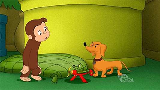Curious George - Backdrops
