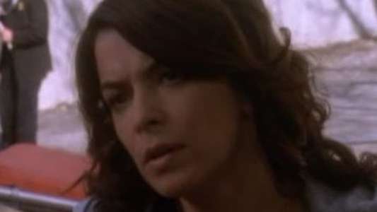 Law & Order: Criminal Intent - Backdrop