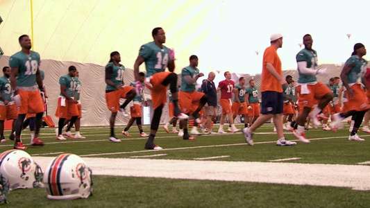 Hard Knocks - Backdrops