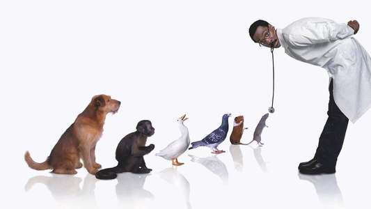 Doctor Dolittle - Backdrops