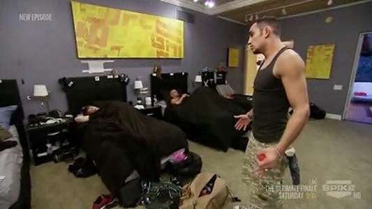 The Ultimate Fighter - Backdrop