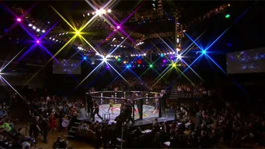 The Ultimate Fighter - Backdrop