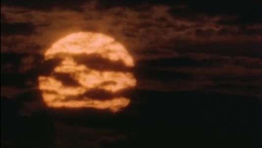 Forever Knight - Backdrop