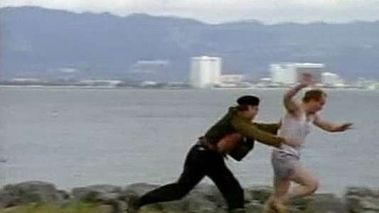 Nash Bridges - Backdrop