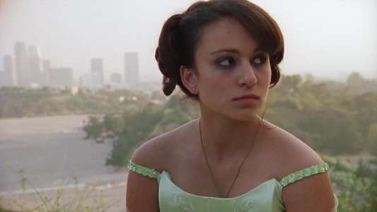 The Shield - Backdrop